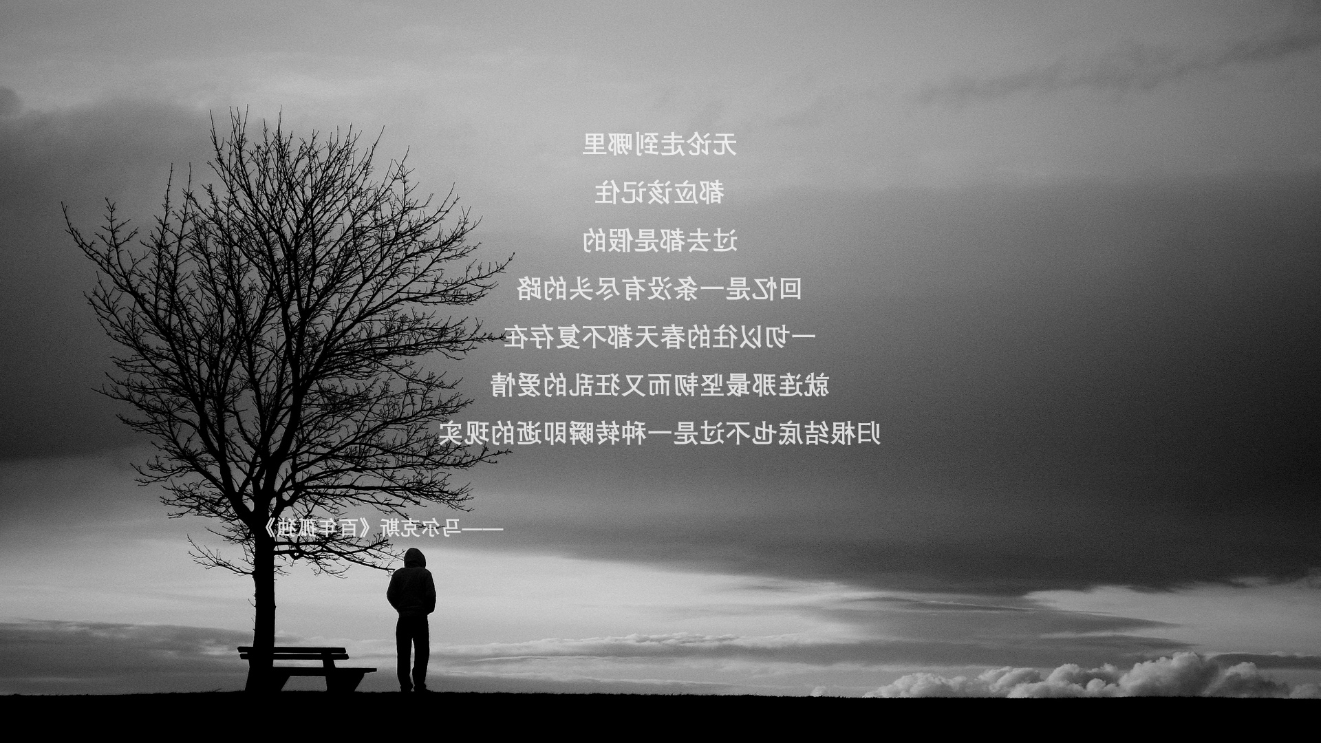圣洛伦索球员因拖欠工资罢训，俱乐部承诺解决，圣洛伦索vs帕特罗纳图